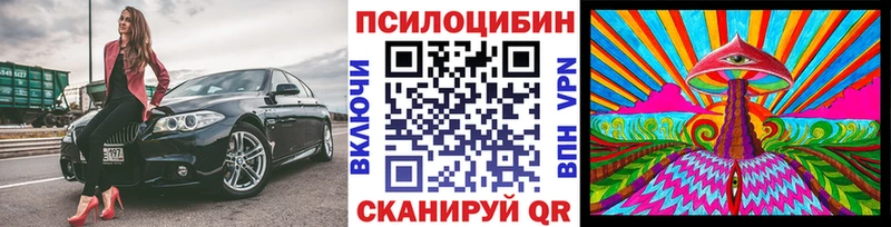 MEGA как зайти  Энгельс  Псилоцибиновые грибы Psilocybe 